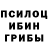 Галлюциногенные грибы Magic Shrooms Assasin go