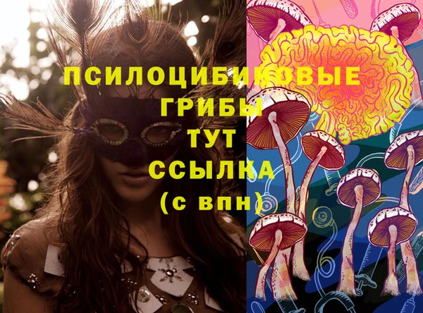 соль ск Иннополис