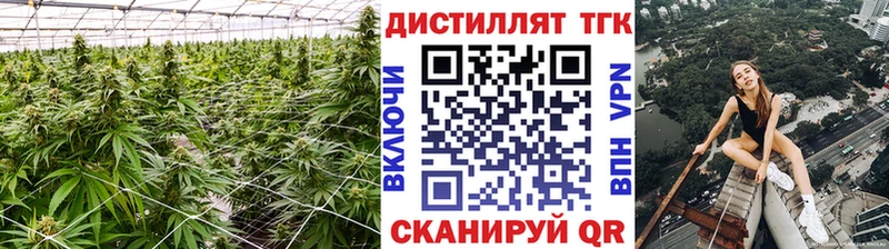ОМГ ОМГ ТОР  Назрань  ТГК гашишное масло 